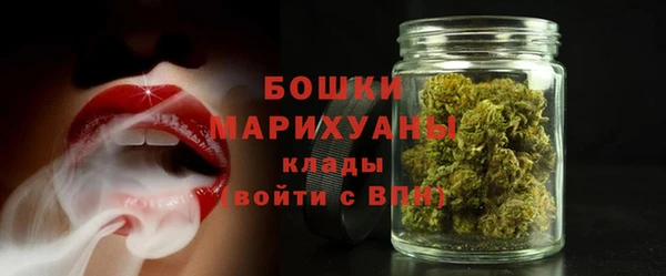 крисы Новокубанск