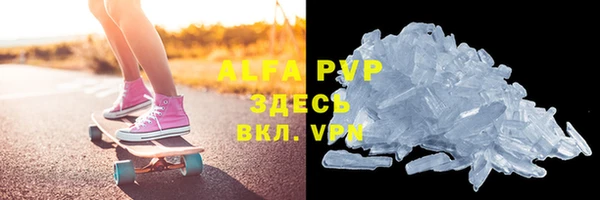 твердый Новодвинск