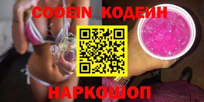 МДПВ Кингисепп