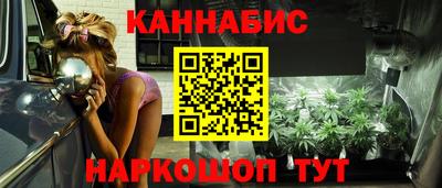 МДПВ Кингисепп