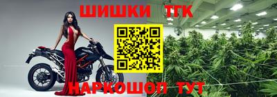 МДПВ Кингисепп