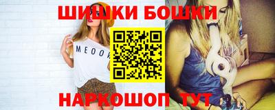 МДПВ Кингисепп