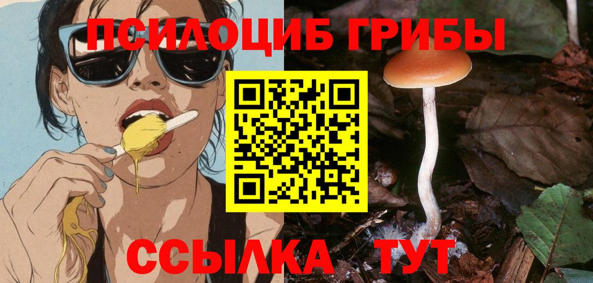 Отрадное  Галлюциногенные грибы мицелий  Вход с VPN  Галлюциногенные грибы мицелий 