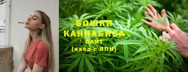 Конопля White Widow  как найти   Отрадное 